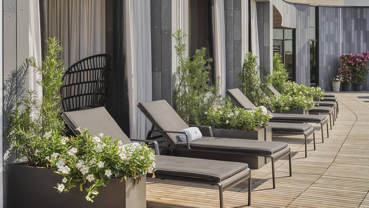 A row of lounge chairs near a wall and outdoor pool.