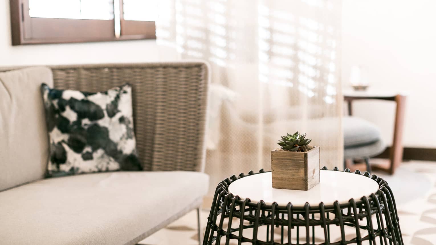 Close-up of tiny succulent plant in square planter on round table next to wicker loveseat, black-and-white cushion