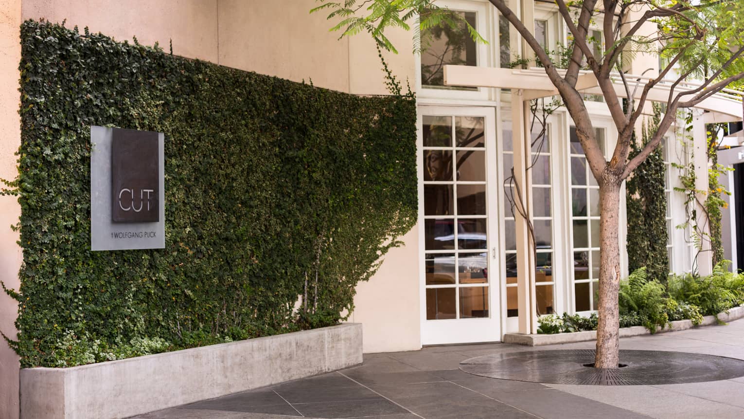 Cut by Wolfgang Puck sign on ivy-covered brick wall at hotel entrance