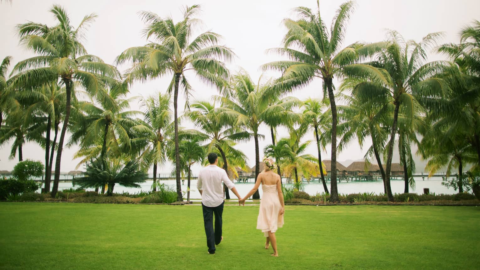 Bride and groom hold hands, walk along lawn towards palm trees