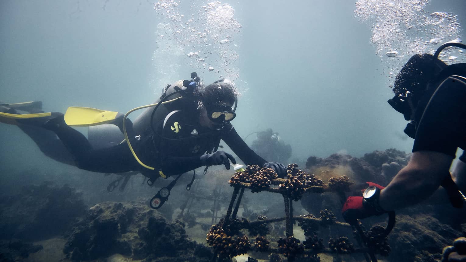 Two scuba divers inspect an underwater wreck