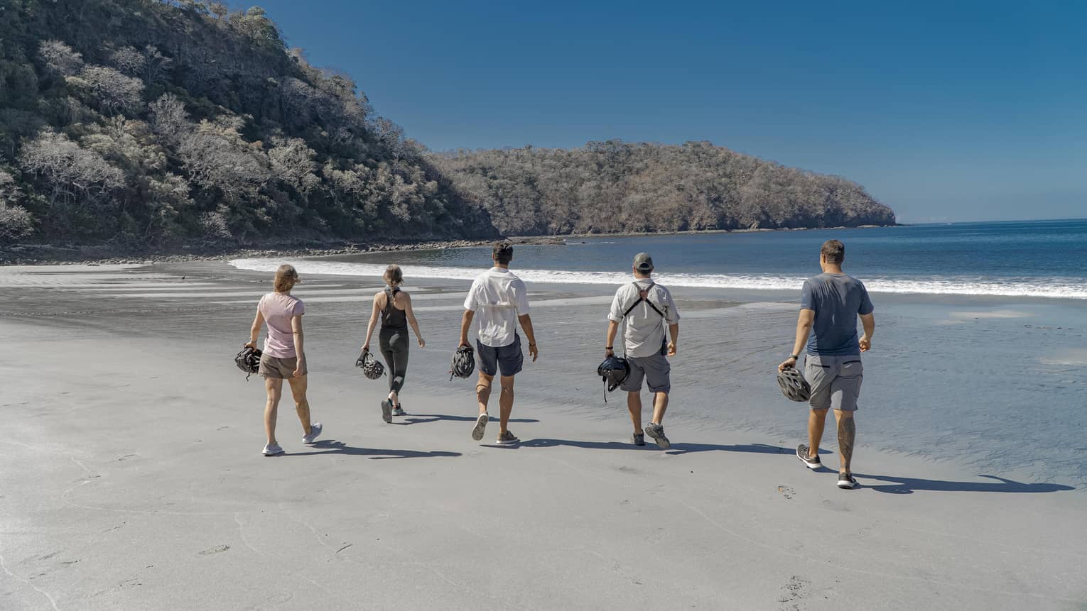 Five people walk toward the ocean on a secluded beach, each holding a small bag in their right hands