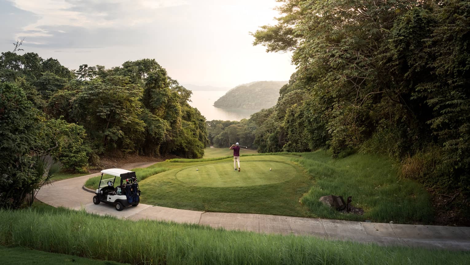 A golf cart and a person by a golf green surrounded by trees.