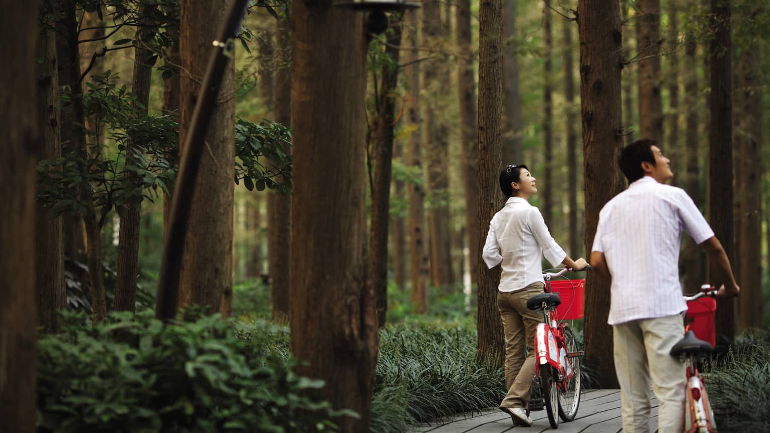 Couple walks bicycles through forest nature trail, looks up at trees