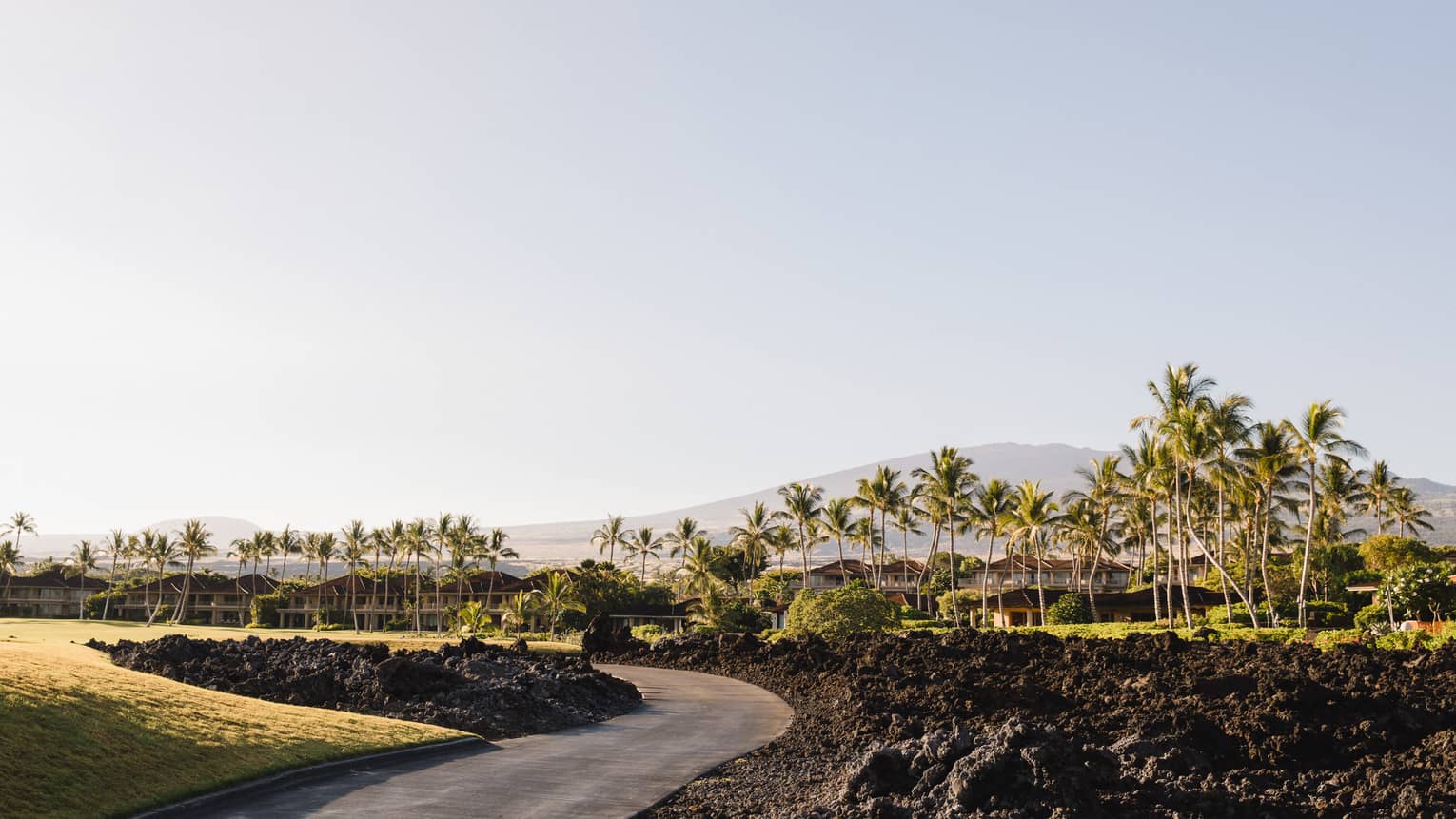 Paved road through lawn, lava rocks, palm trees on Hawaiian island