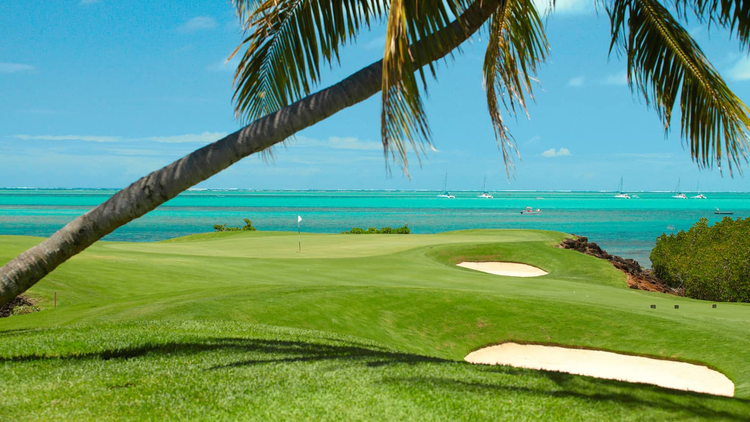 Palm tree hangs over golf course green, turquoise ocean in background
