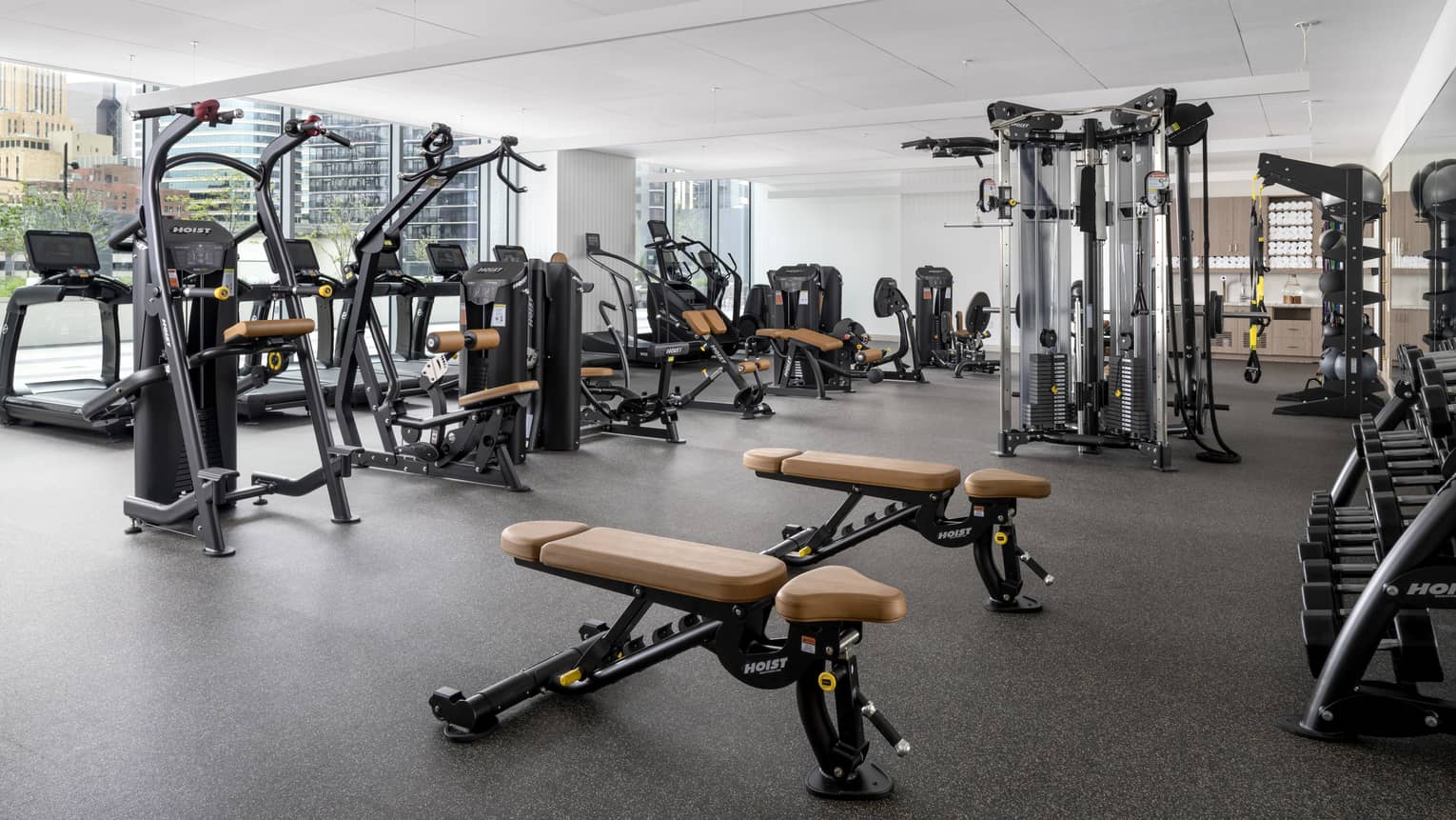 A gym with cardio, weight machines and free weights with large windows.