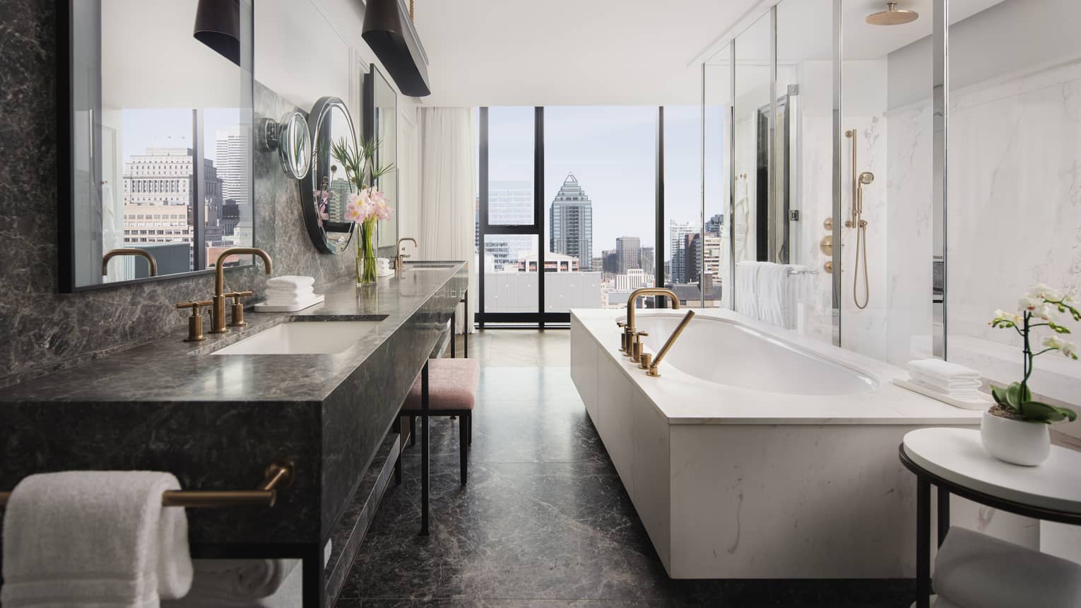 Large master bathroom with tub and glass wall into shower, city view