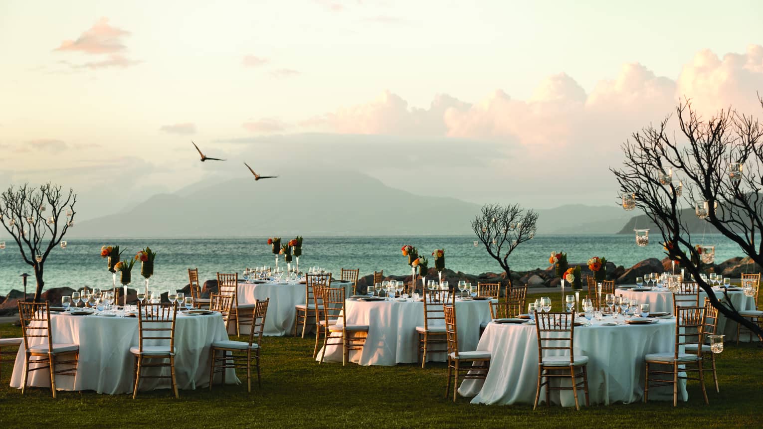 Two birds fly over outdoor dining tables, small trees on lawn by ocean 