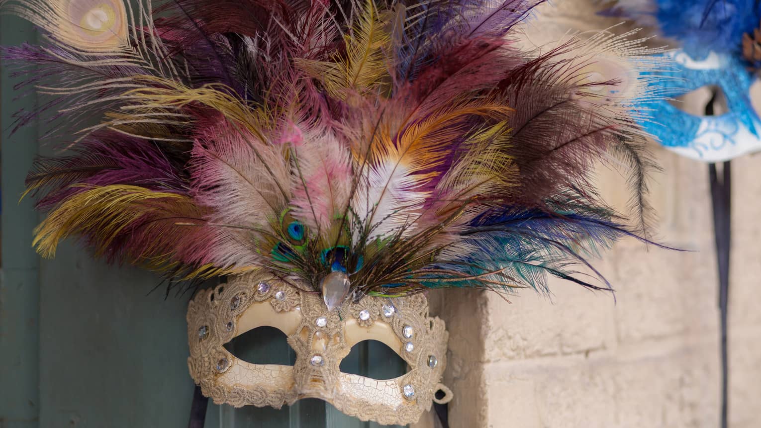 Colourful Mardi Gras mask with peacock feathers