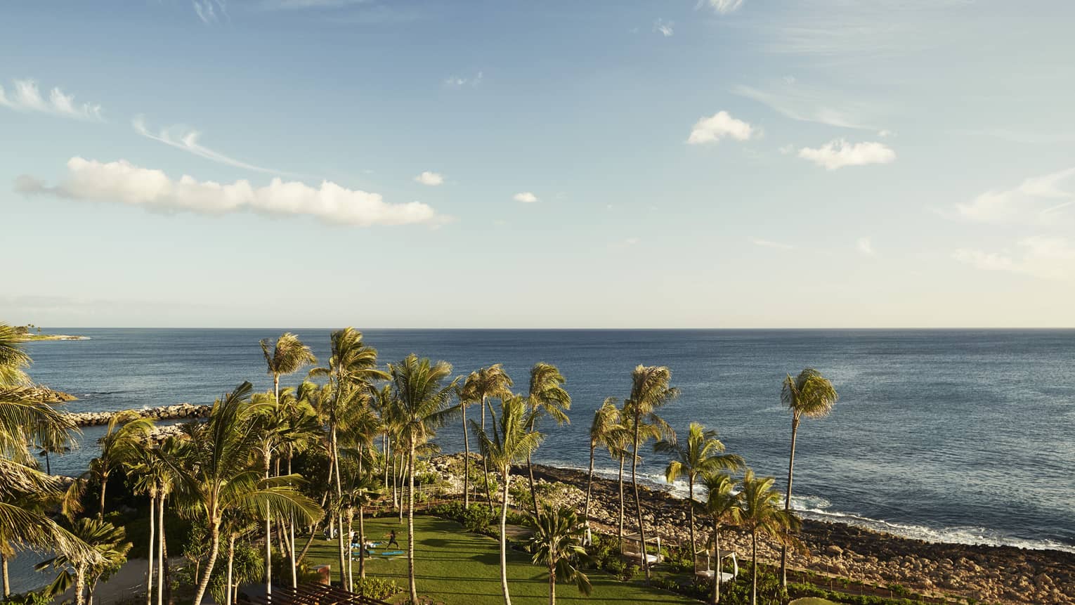 Sweeping view over tall palm trees, rocky shoreline by ocean, waves 