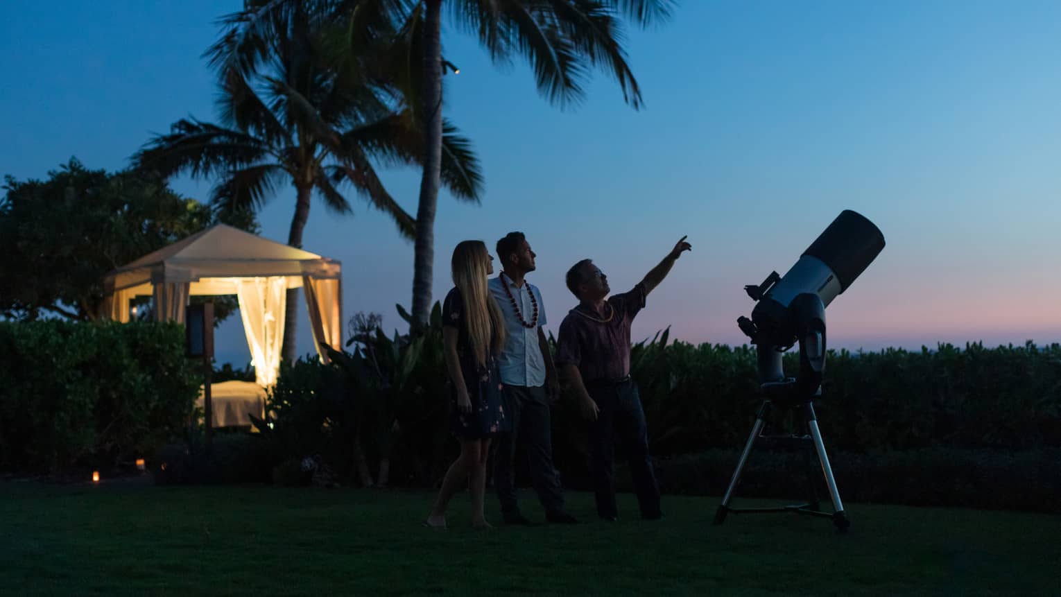 Silhouetted amid palm trees and a telescope, a guide points at the sky as two guests look up, a lit-up gazebo behind them.