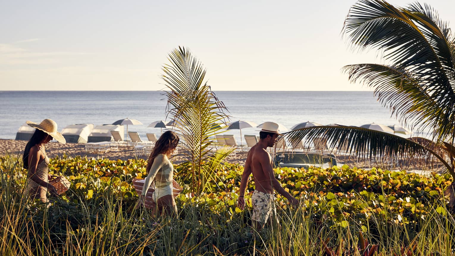 A group of people walking through tall grass and plants towards a beach.