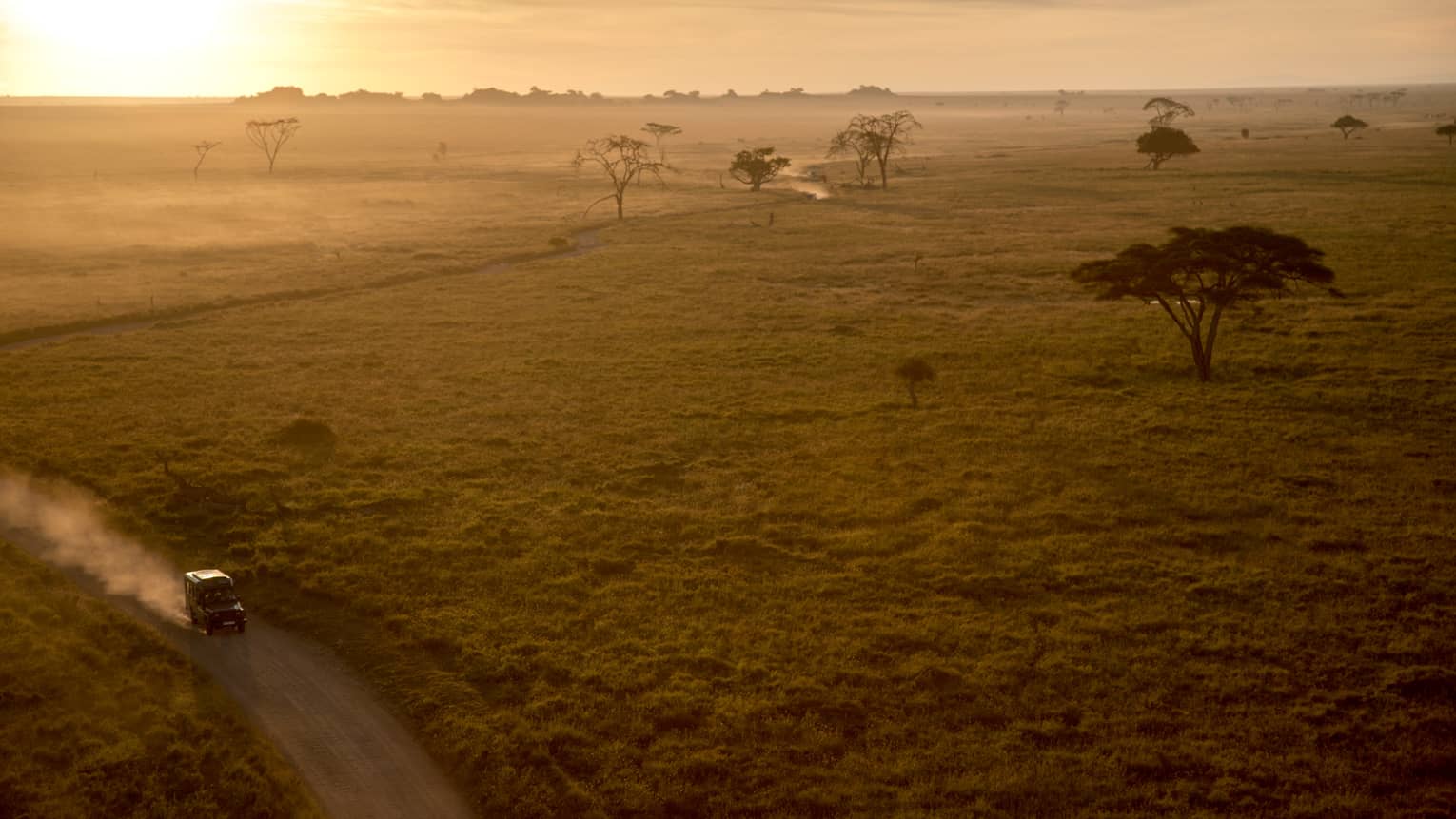 Sunset over Serengeti plains, trees