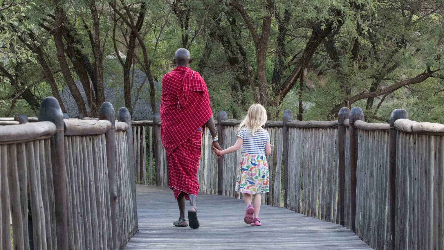 Maasai warrior holds hands, walks with young girl down wood bridge