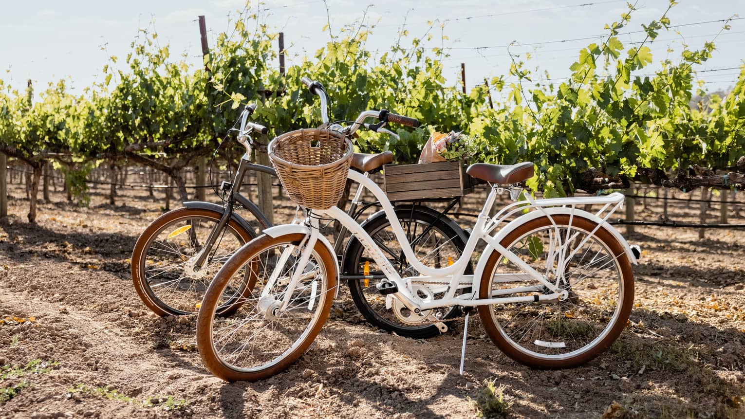 Two bikes rest against vineyards