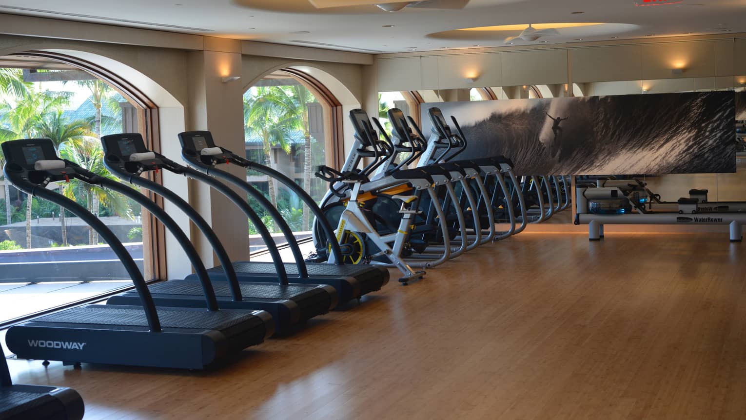Fitness Centre treadmills, cardio bikes lined up against arched windows, large print with surfer on wave
