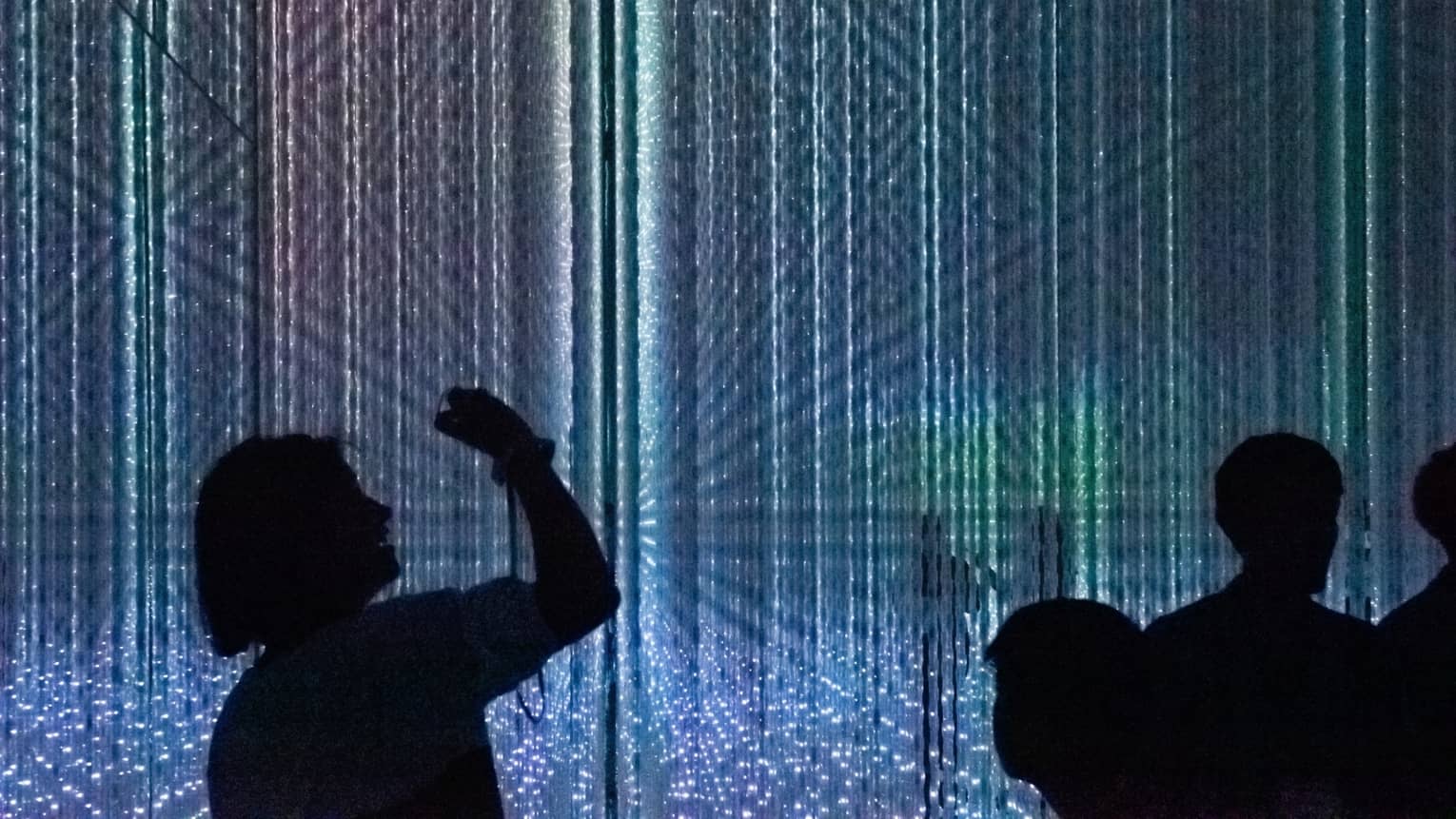 Silhouettes of people enjoying the digital art exhibit at Teamlab Planet