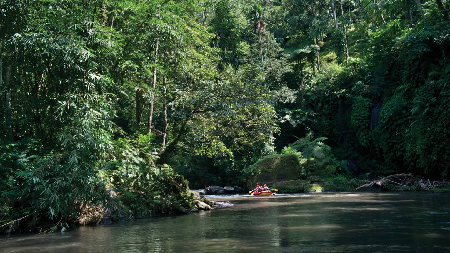 People water rafting along Ayung River beneath trees 