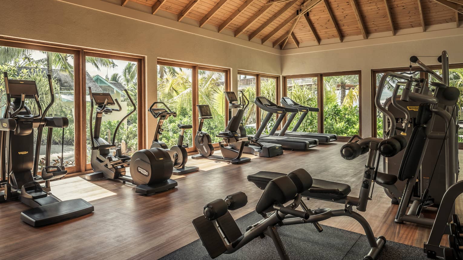 A bright, spacious gym with vaulted ceiling featuring various exercise machines and a view of lush palms from large windows.