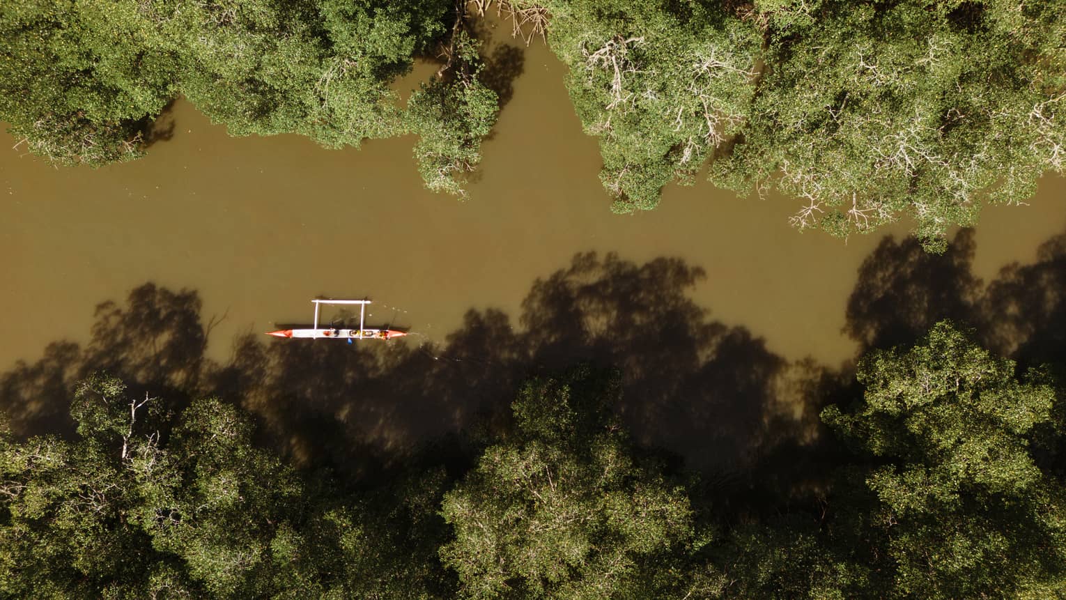 Aerial view of a small boat floating down the river through a mangrove forest