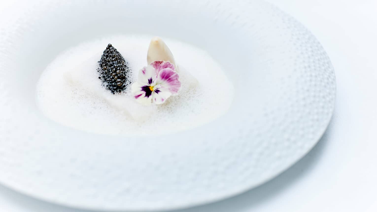 Caviar, purple flowers in white foam in dish