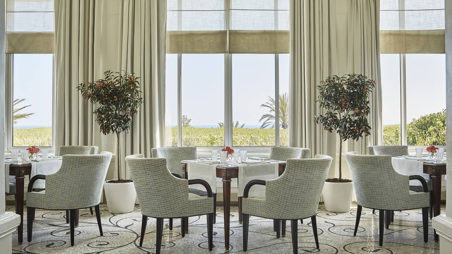 Dining chairs and tables under tall, sunny windows, potted trees in La Veranda