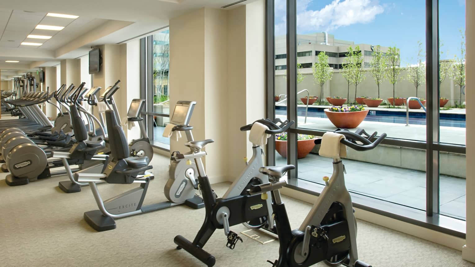 Fitness Centre cardio machines lined up against sunny floor-to-ceiling windows