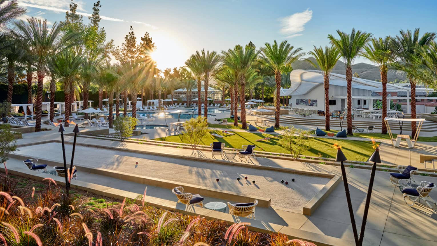 An outdoor area with chairs, pool and palm trees.