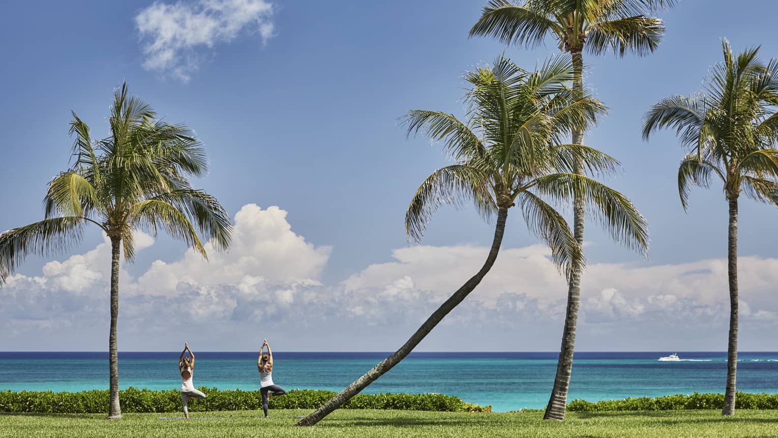 Two people face ocean, stand in yoga poses under tall palm trees