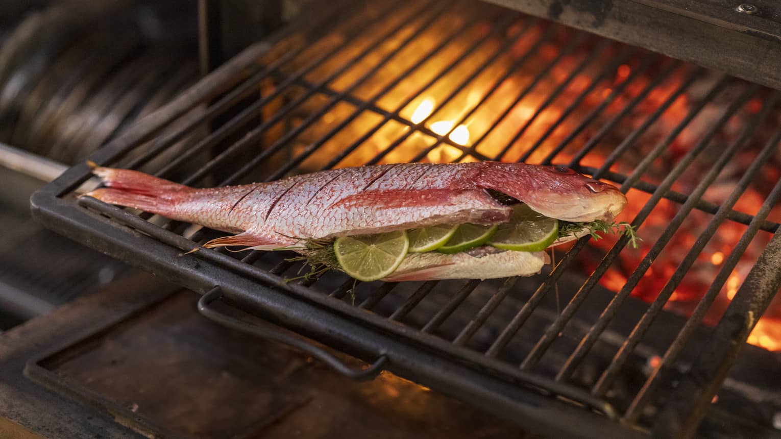 Whole grilled snapper stuffed with lime slices and greens sits on a wood-fire grill
