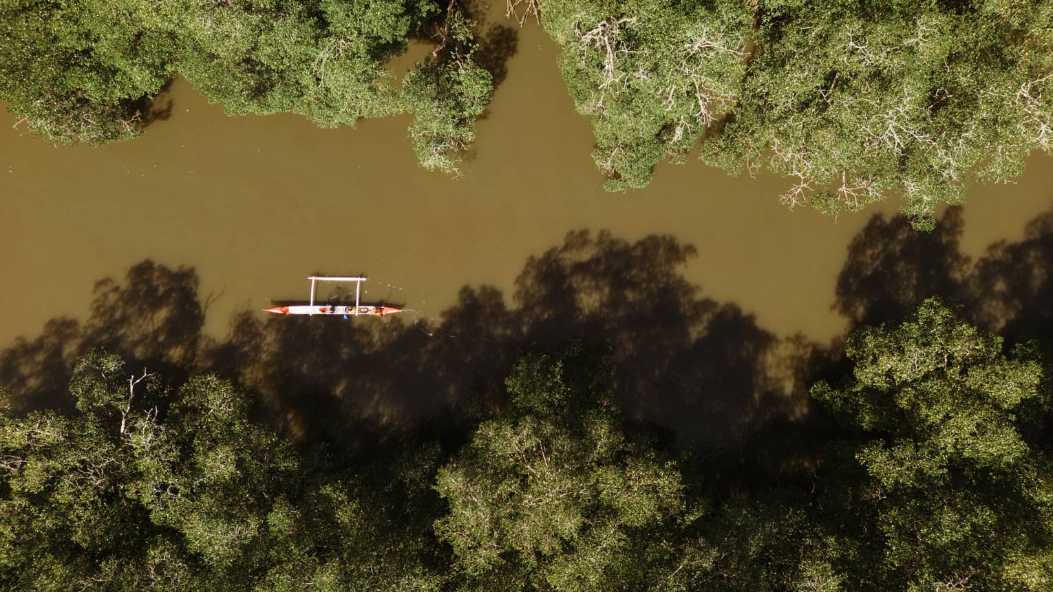 Aerial view of a small boat floating down the river through a mangrove forest