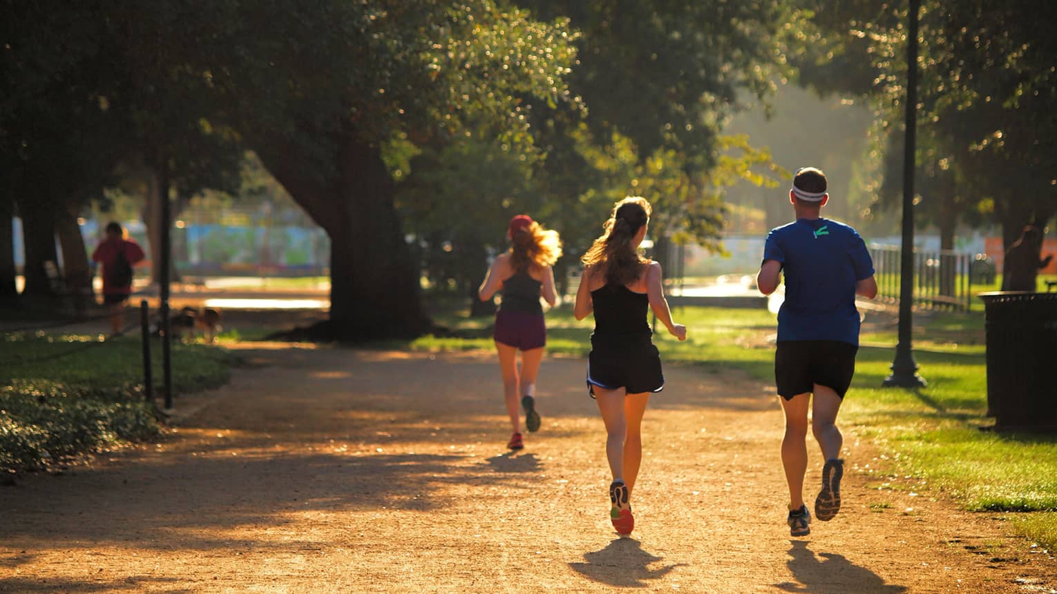 Back view of two women and a man in shorts and T-shirts, jogging down a park path