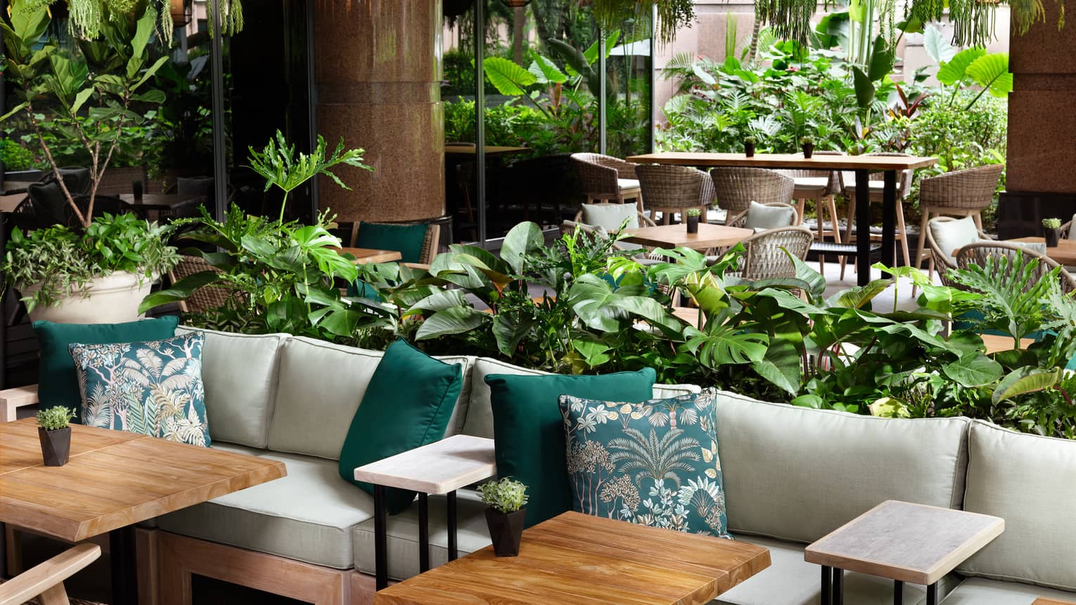 Cream couches, turquoise accent pillows, green foliage hanging from ceiling