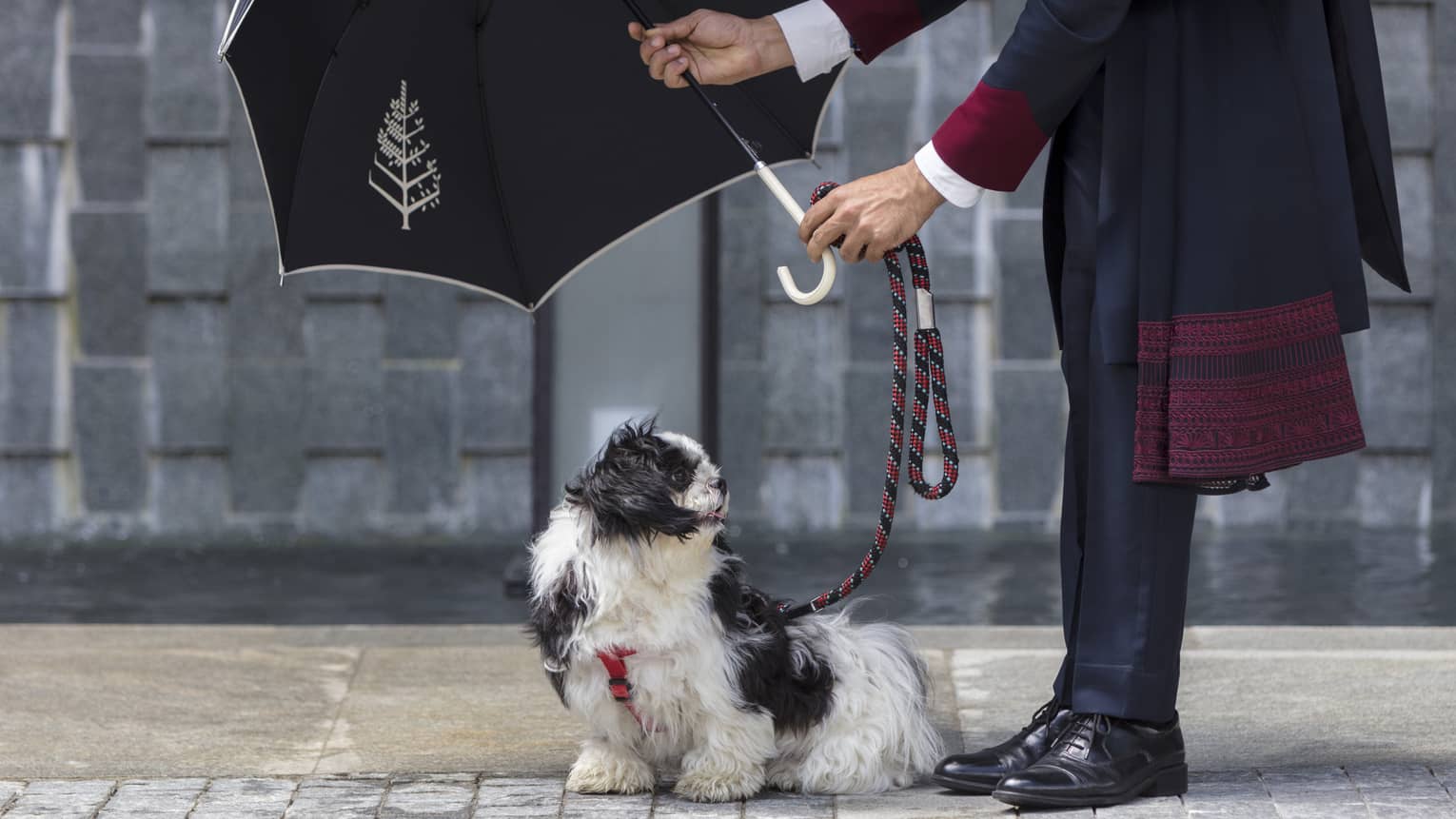 Doorman at Four Seasons Hotel Bengaluru holds a black Four Seasons umbrella over a small black and white dog
