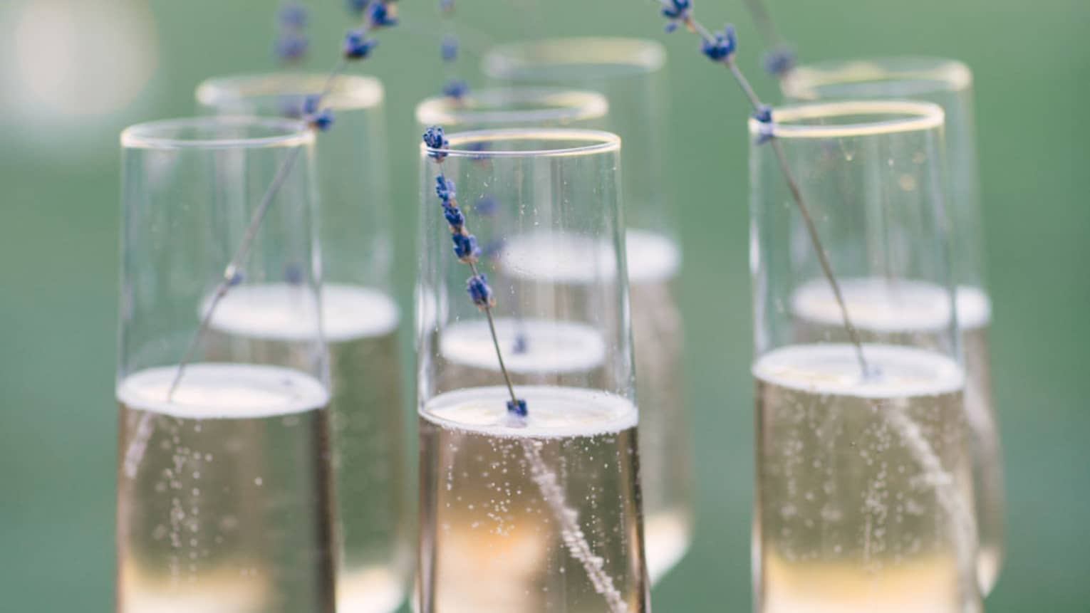 A tray of six Champagne flutes garnished with a sprig of lavendar