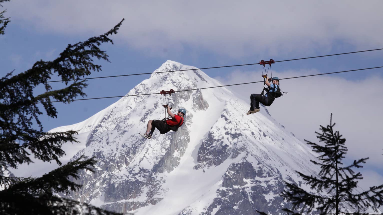 Two people zipline past pine trees with snowy mountain in background 