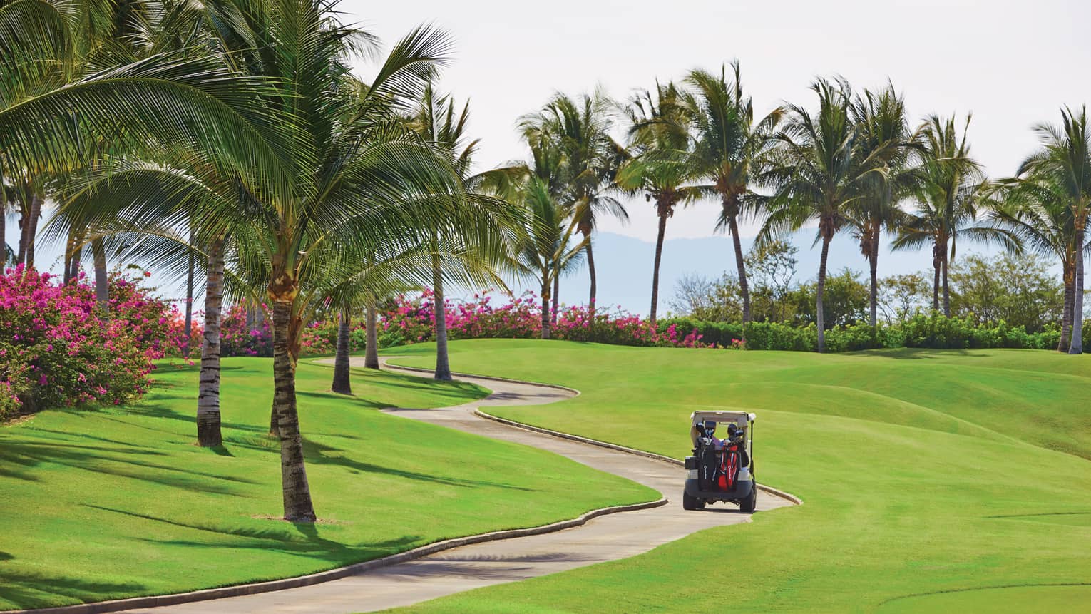 Back of golf cart driving down path on sunny golf course under palm trees