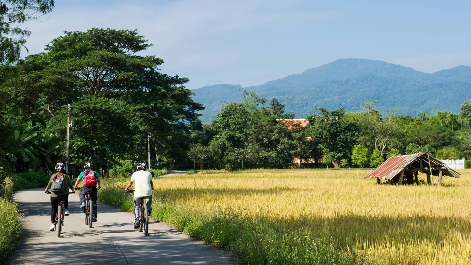 Three cyclists ride down a rural road surrounded by lush greenery and golden fields, with mountains in the background and a small rustic hut to the side.