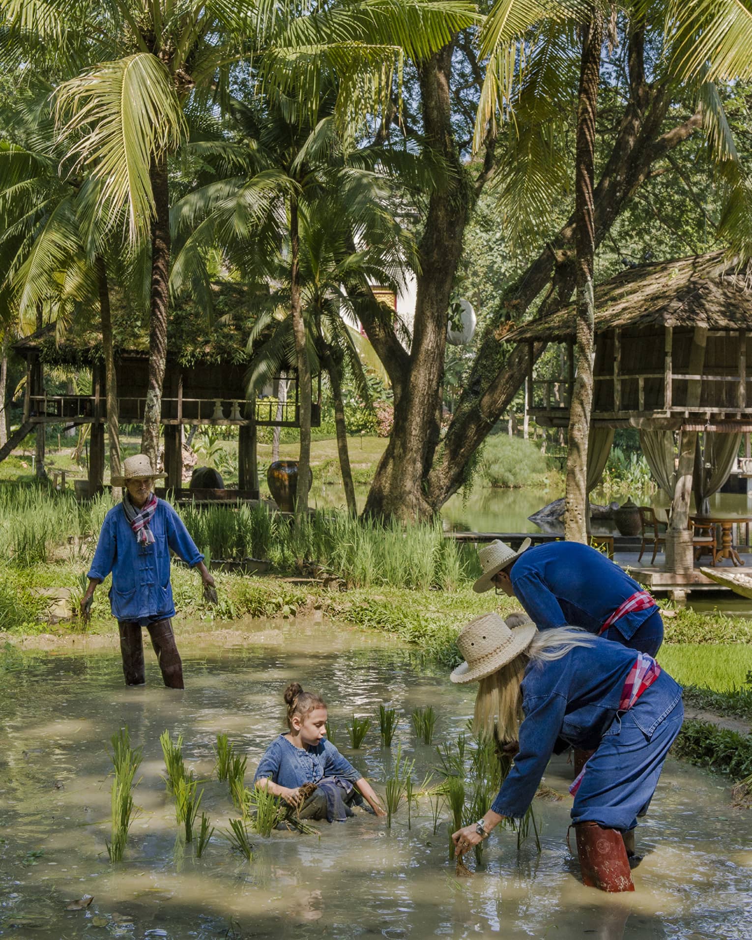 A family in navy blue standing in the brown waters of a rice patty beneath a palm tree. 