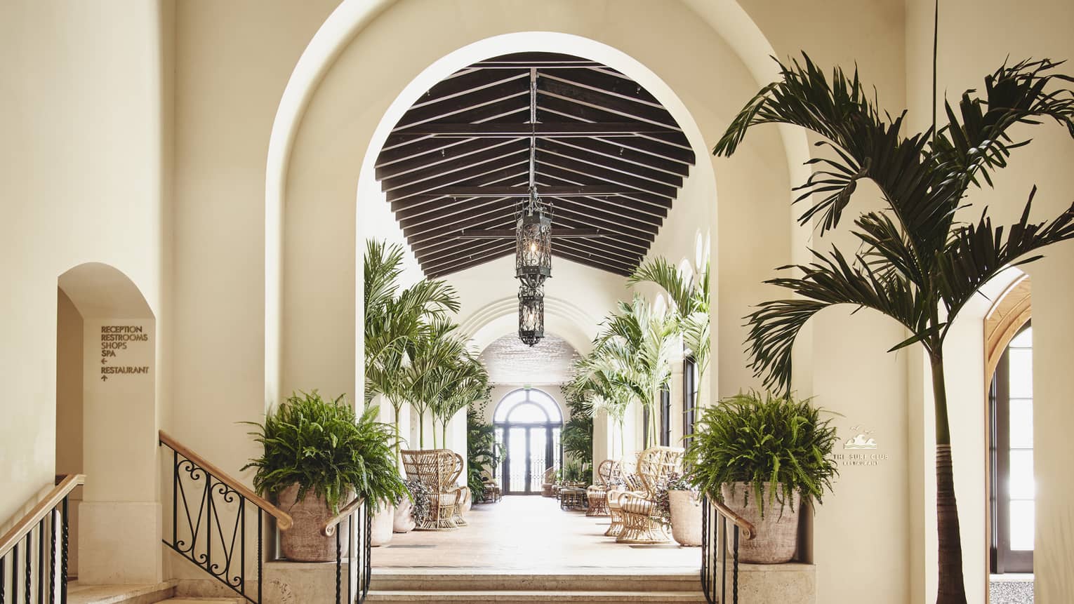 A white archway leading into a hallway with plants on both sides and large lamps hanging from the ceiling.