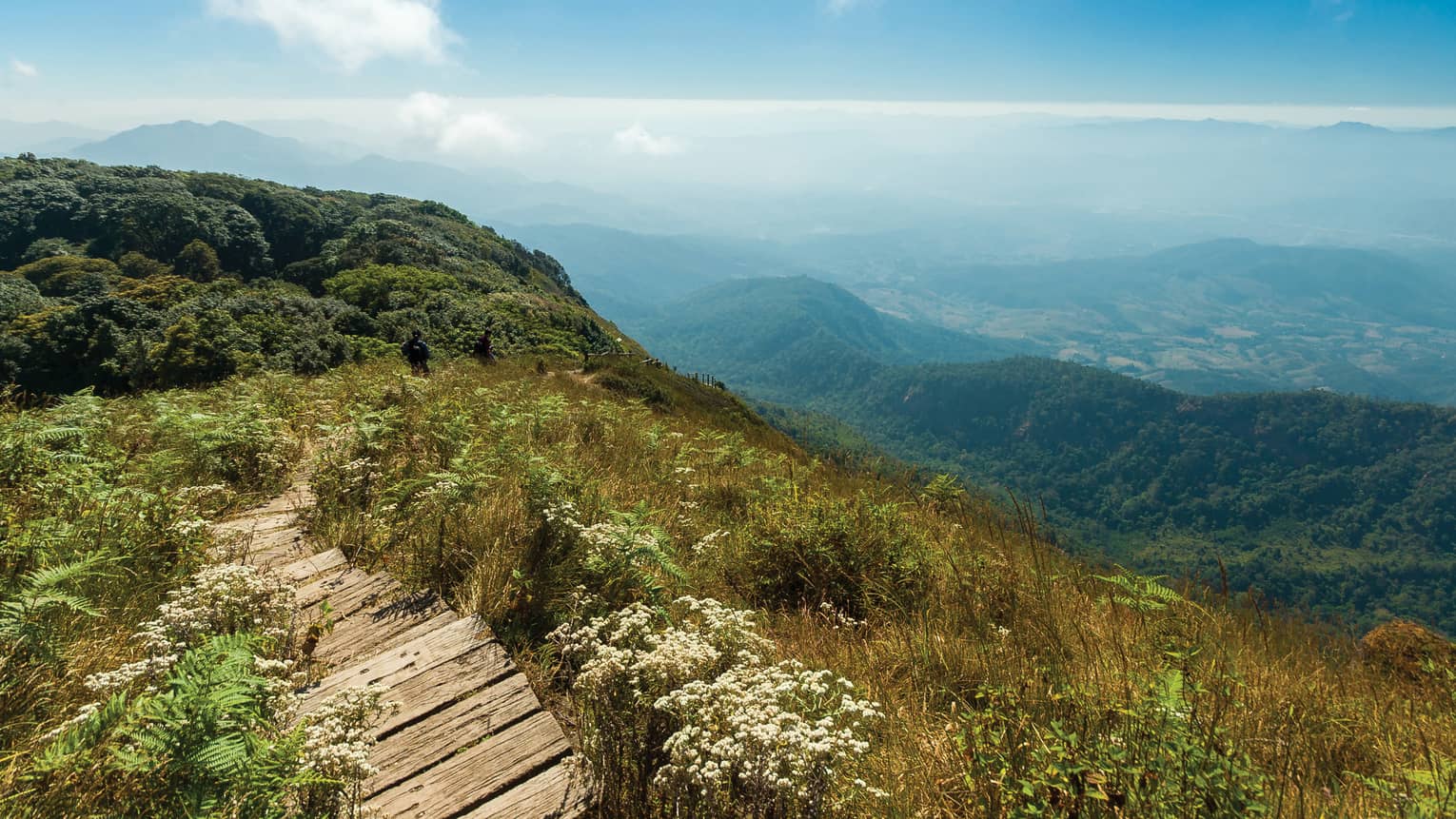 Rustic wood steps along top of lush green mountains in Doi Inthanon grasslands