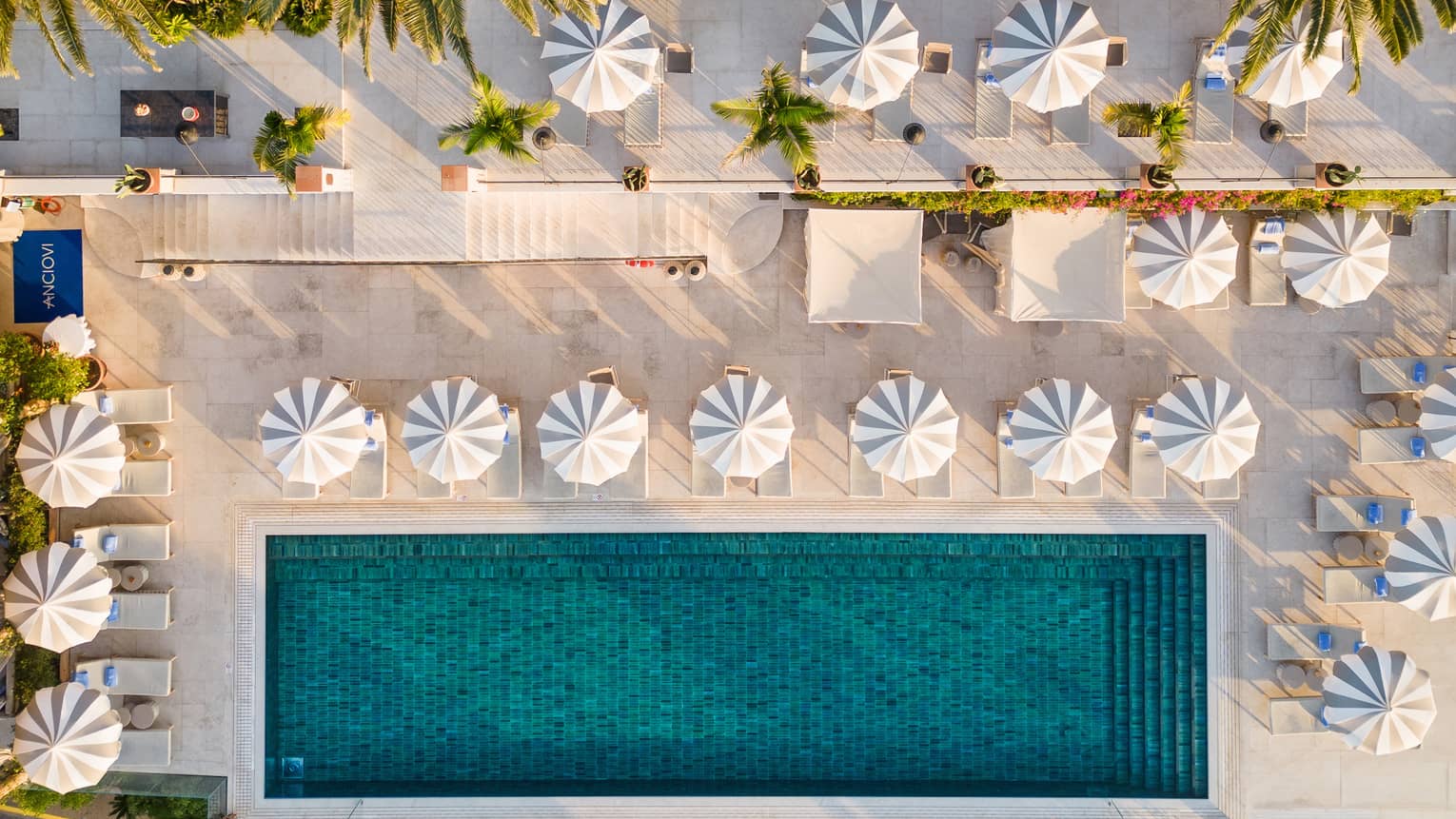 An outdoor pool surrounded by white umbrellas, lounge chairs and palm trees.