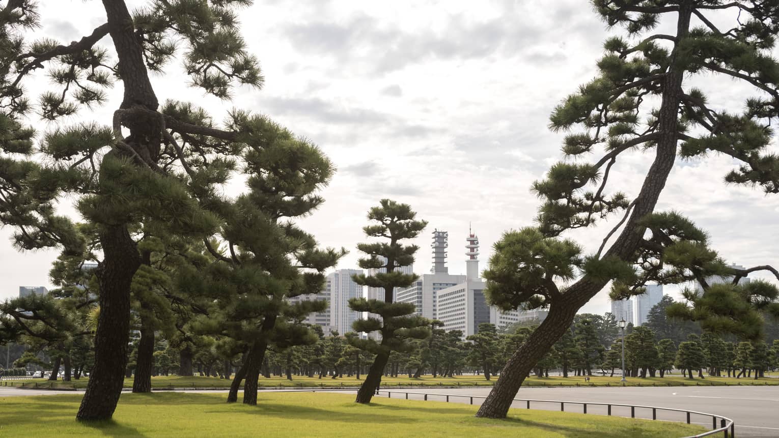 Mature trees line an empty street, downtown Tokyo skyline visible in the background