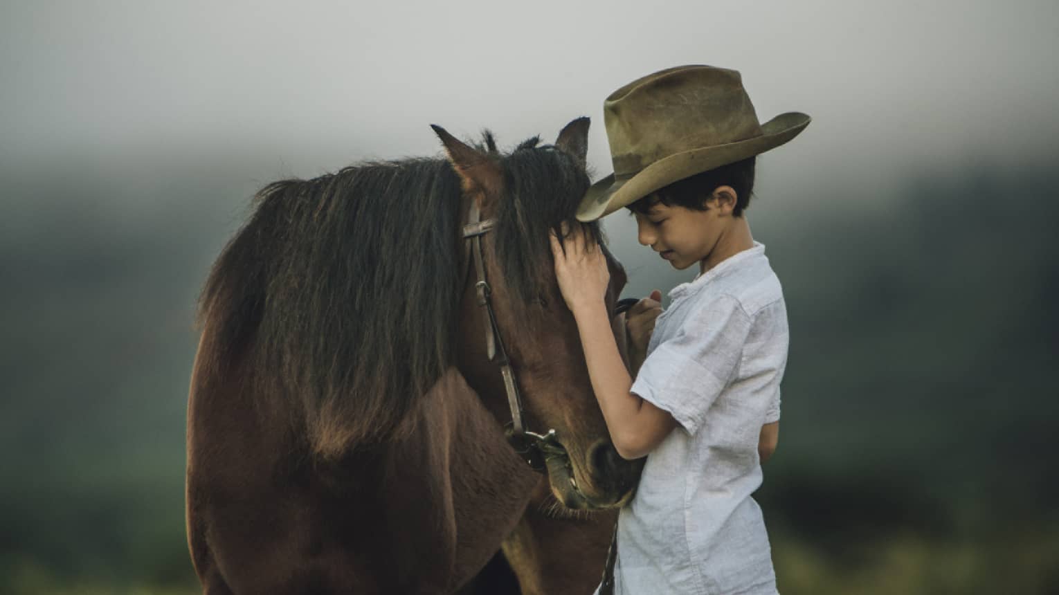 A young boy in a cowboy hat petting a horse in an open field