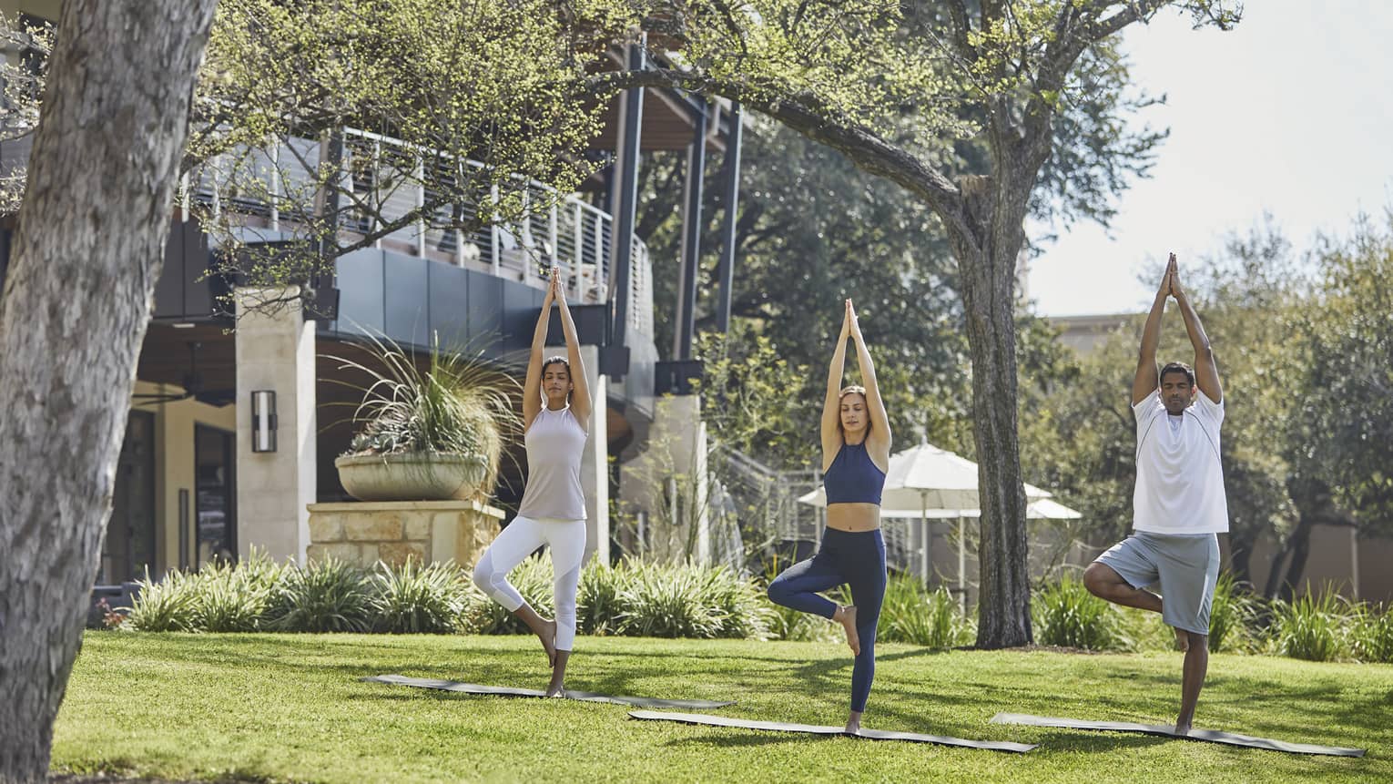Guests balance while extending their arms to the sky during a yoga session
