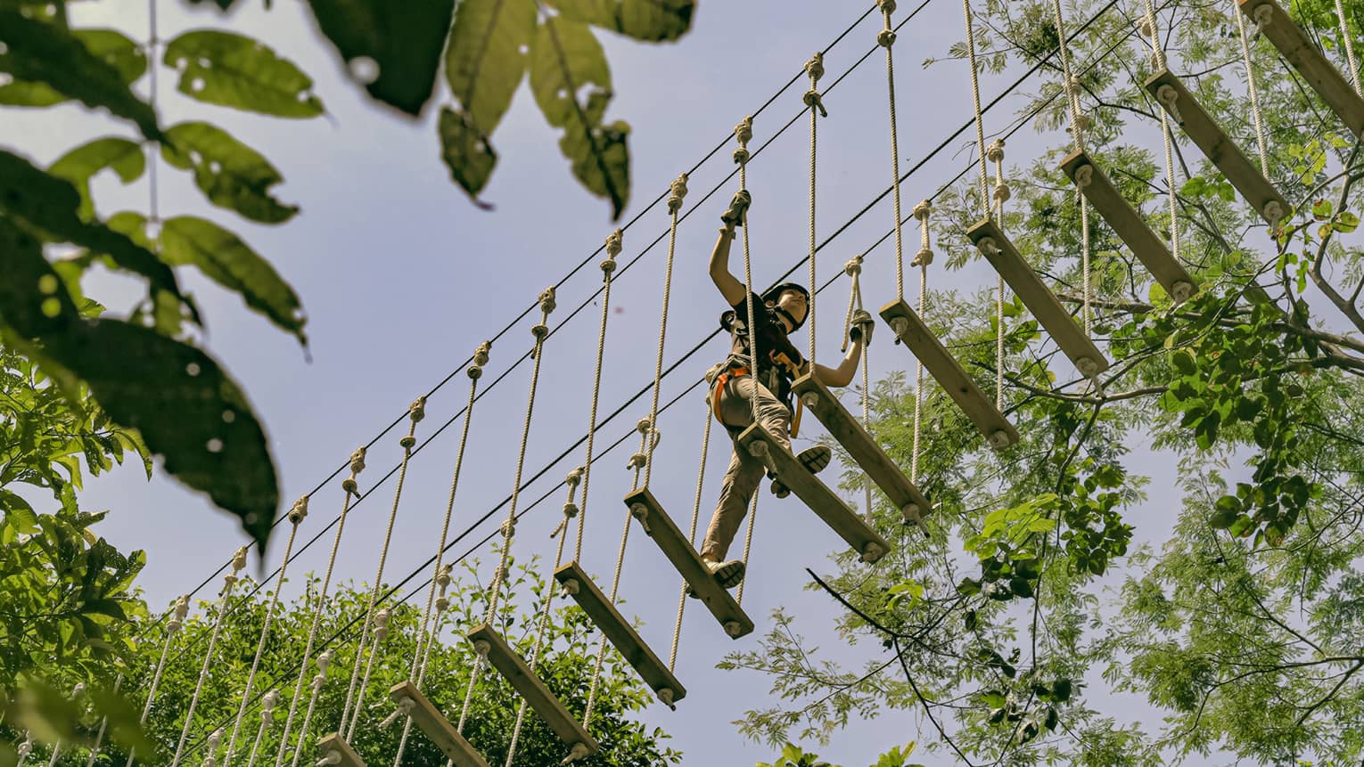 Overhead, a person crosses a bridge of wood planks suspended by ropes high above the forest canopy, surrounded by trees.