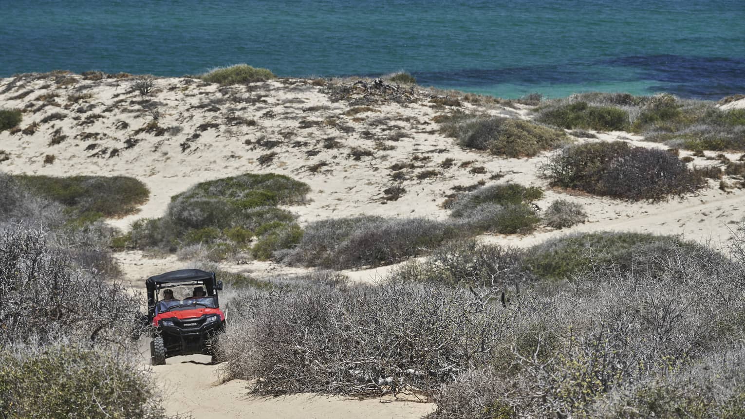 An outdoor vehicle driving over sand dunes.