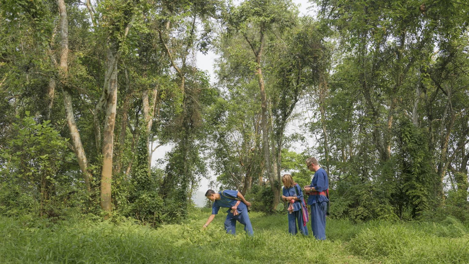 Three guests in loose denim pants and belted smocks stand in a clearing, two watching a third reach down into the tall grass.