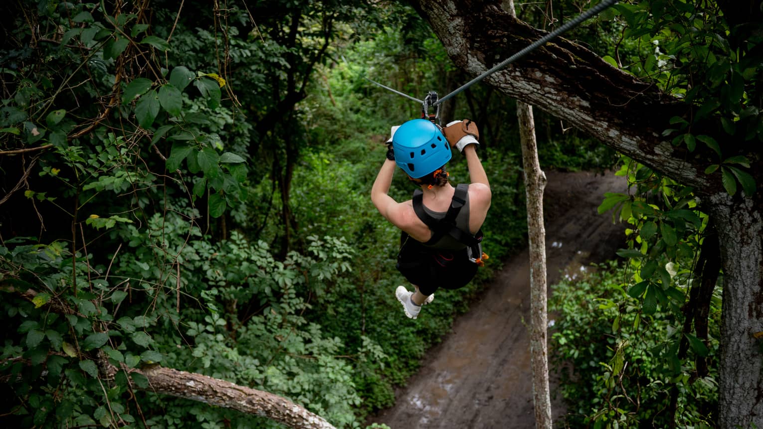 Aerial view of a person wearing a black sleevless shirt, black shorts, white sneakers and a bright blue helmet sliding through the trees on a zipline